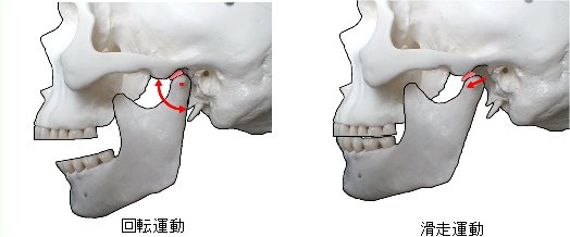 小児歯科